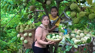 Harvest a bountiful fruit garden and bring it to the market to sell - With my daughter