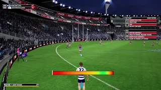 Gary Rohan Goal After The Siren Against Geelong Round 14