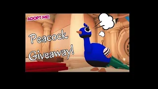 Roblox adopt me peacock giveaway
