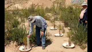 Combat desertification in Xining China with water efficient Groasis technology