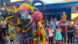 Carnaval Constanza 2023 - Resumen 2do Domingo