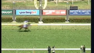 Pelicano - Morphettville 3.10.11