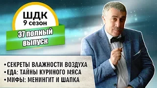 Школа доктора Комаровского - 9 сезон, 37 выпуск (полный выпуск)