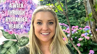 Garden Walk Through Hydrangea Heaven! 😍 :: Spring Meadow Nursery Display Garden