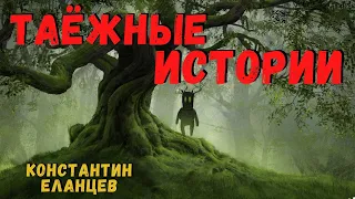 ТАЁЖНЫЕ ИСТОРИИ | Страшные истории