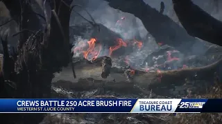 Brush fire in western St. Lucie County originated from lightning strike