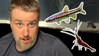 My Bucket List for Fish Keeping [Live Stream]