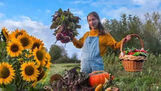 Time to harvest our Garden!?