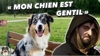 "Mon chien est GENTIL, ne vous inquiétez pas" : LA phrase terrible