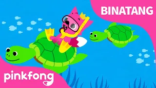 Di Dalam Laut | Bermain dengan binatang laut | Lagu Biantang | Pinkfong dan Baby Shark