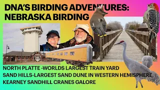 Nebraska #birding TRAINS AND CRANES Video 1-North Platte and Kearney, NE SANDHILL CRANES + MORE