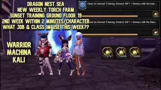 New Weekly Torch Farm STG F19 DN SEA 2nd Week Within 2 Minutes : What Job & Gear im Use For STG F19?