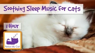 1 HOUR RELAXING MUSIC FOR CATS & KITTENS Help Your Pet Sleep with Soothing Sounds! 🐱 #SLEEP14