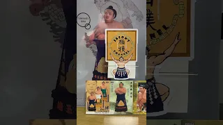 Sumo Shorts #2 - Ozeki Takakeisho #sumo