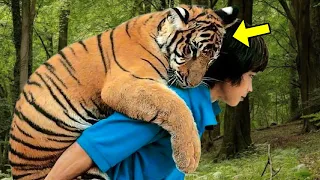 This Dying Tiger Cried For Help, What Happened Next is Unbelievable!