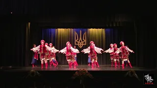 Yavir Ensemble of Ukrainian Dance - Promo