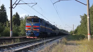 "Приветливая бригада!" 2ТЭ116-955 "БалтТрансСервис" с грузовым поездом, платформа 165 км
