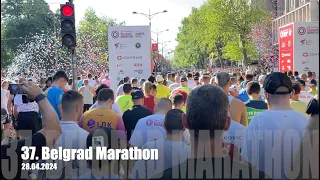 37. Belgrad Marathon - 28.04.2024