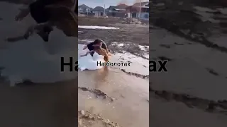 🚀🚀Весілля на болотах !!!