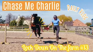 Chase Me Charlie, Hair Cuts & The Pet Pigs | Daily Barn Vlog | Lock Down Day 13