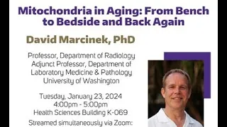 Lab Med and Pathology Research & Discovery Seminar | David Marcinek, PhD