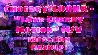 [MV] 이달의 소녀/최리 (LOONA/Choerry) "Love Cherry Motion" – REACTION MASHUP