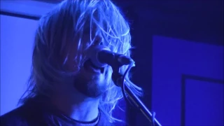 Sappy Nirvana Tribute - Breed