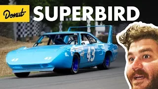 Superbird+Daytona - Everything You Need to Know | Up to Speed