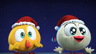 Where's Chicky? ⛄️ IS IT CHRISTMAS? | Cartoon in English for Kids | New episodes