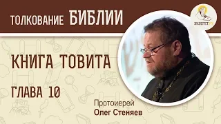 Книга Товита. Глава 10. Протоиерей Олег Стеняев. Библия. Ветхий Завет