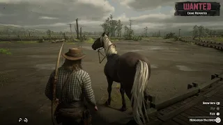 Rdr2| Johns horse (Hungarian Halfbread) For Arthur in chapter 2