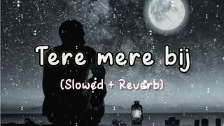 Tere mere | slowed + reverb | lofi music | stebin ben and asees kaur | new version