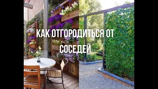 Как отгородиться от соседей/ Идеи для сада и дачи/