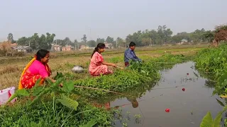 Fishing Video || All the village women are very experienced at fishing || Amazing hook fishing 2024