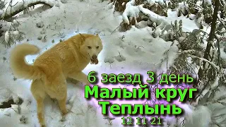 6 заезд 3 день Малый круг Теплынь Баня 12 11 21