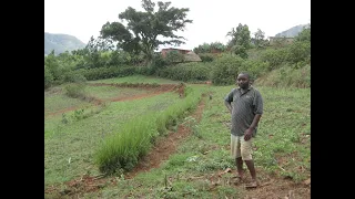 Chikukwa Permaculture Project