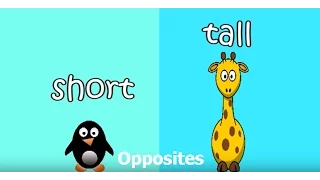 Opposites song for children