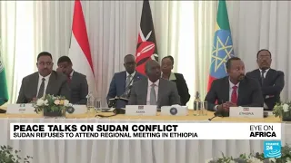 Sudan refuses to attend regional peace talks in Ethiopia • FRANCE 24 English