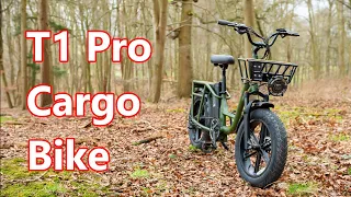 Fiido T1 Pro Cargo Ebike. I really like this bike, it's just so practical!