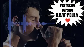 Shawn Mendes - Perfectly Wrong (Acappella!)