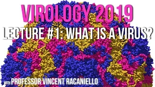 Virology Lectures 2019 #1: What is a virus?