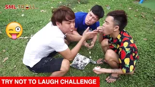 TRY NOT TO LAUGH - Funny Comedy Videos and Best Fails 2019 by SML Troll Compilation