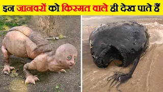 ऐसे अजीबोगरीब जानवर हजारों साल में एक ही पैदा होते हैं | Animals Born Once in a Thousand Years