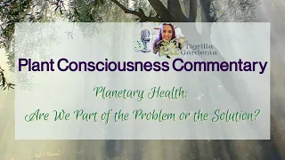 Planetary Health, Are We Part of the Problem or the Solution? | Plant Consciousness Commentary
