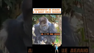 Типичный пауэрлифтер