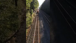 Watching the Train at the Cassandra Overlook