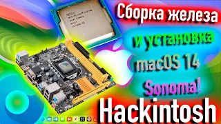 СБОРКА HACKINTOSH ИЗ УСТАРЕВШЕГО ЖЕЛЕЗА ДЛЯ MACOS 14 SONOMA! - ALEXEY BORONENKOV | 4K