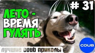 Лучшее в COUB за неделю Июнь 2015 | Best COUB #31