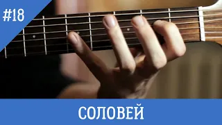 Go_A _Соловей_ - як грати на гітарі_ eurovision 2020 Ukraine cover_ как играть на гитаре_ кавер.