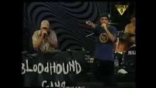 Bloodhound Gang - I Wish I Was Queer (Lowlands Festival 1997)